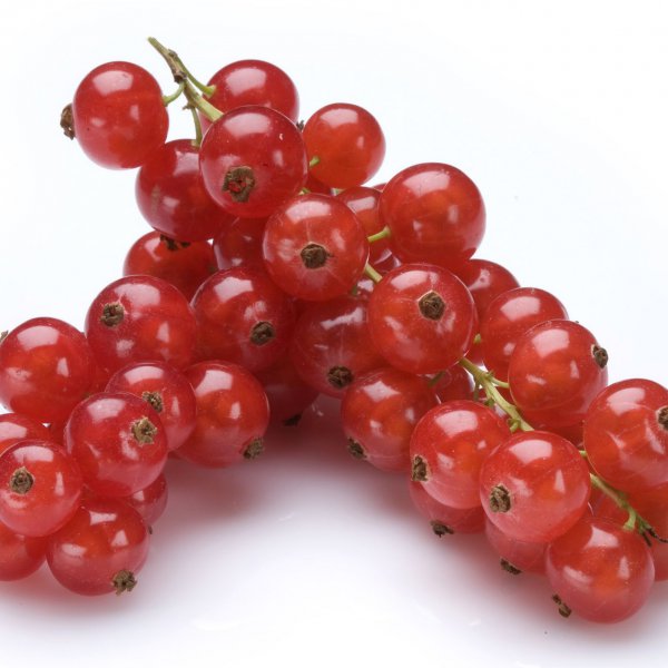 red-currants-assortment-special-fruit