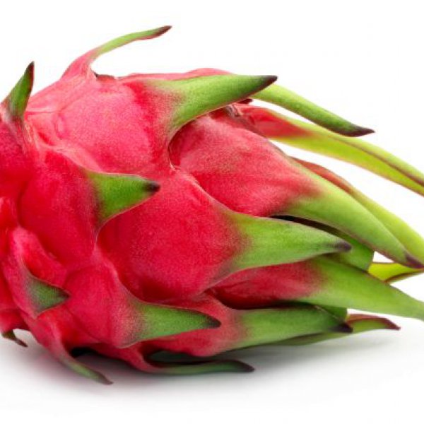 Pitahaya