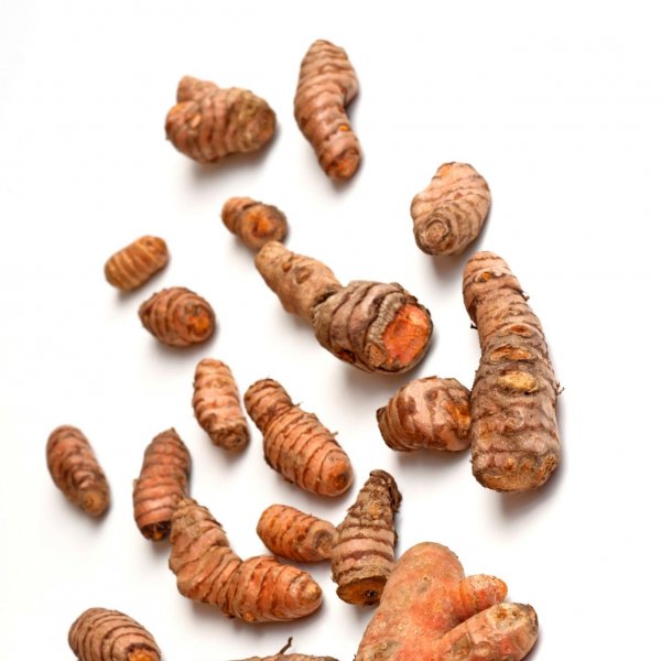 CURCUMA