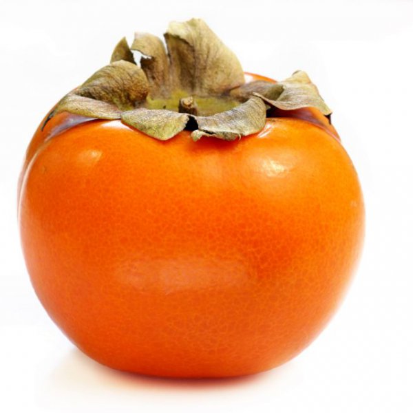 Persimmon