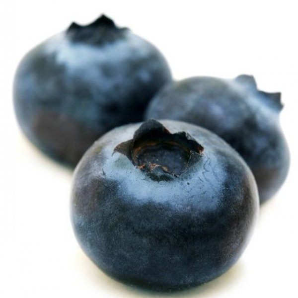 Blueberry fruit clearance