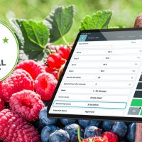 Introducing QC One at Special Fruit